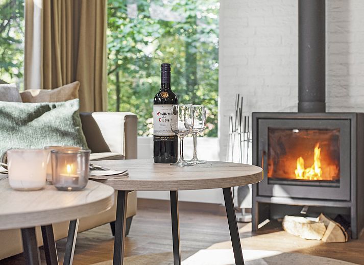 Gemuetliches Wohnzimmer des 8-Personen-Bungalows Coldenhove in Eerbeek, Veluwe mit Kamin.