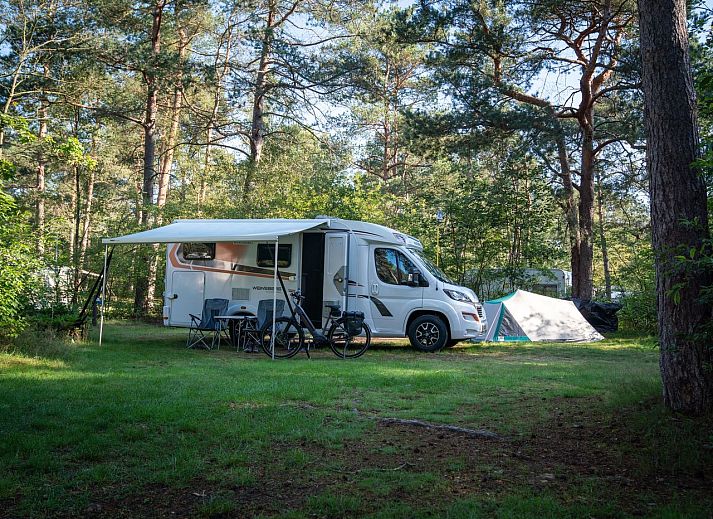 Unterkunft 326015 • Mobilheim Veluwe • Coldenhove | Basis campingplaats | C2 
