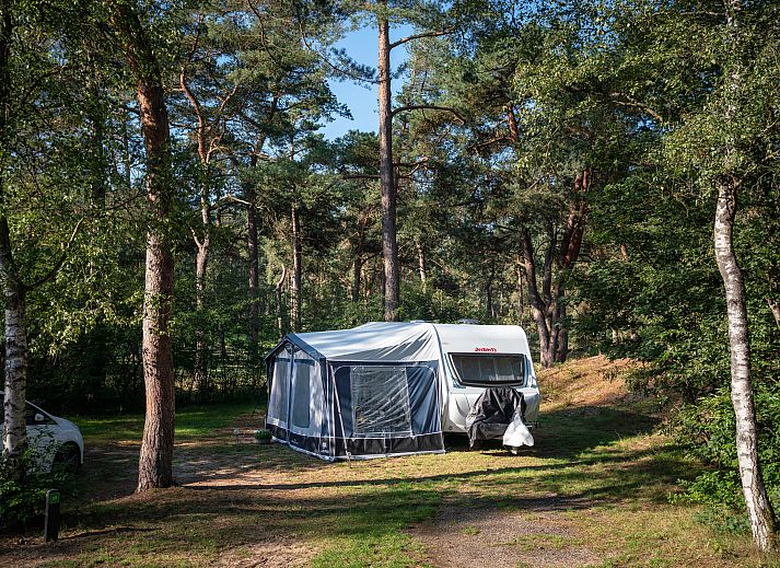 Wohnwagen mit Vorzelt auf dem Campingplatz Coldenhove Basis C2, Eerbeek, Veluwe inmitten der Natur.