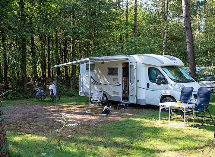 Coldenhove | Basis campingplaats | C5 in Eerbeek, Veluwe, Gelderland met camper en groen uitzicht.