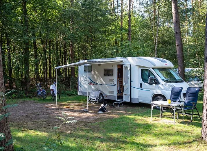 Coldenhove | Basis campingplaats | C5 in Eerbeek, Veluwe, Gelderland met camper en groen uitzicht.