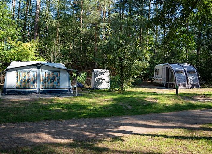 Coldenhove | Basis campingplaats | C5 in Eerbeek, Veluwe, Gelderland met camper en groen uitzicht.
