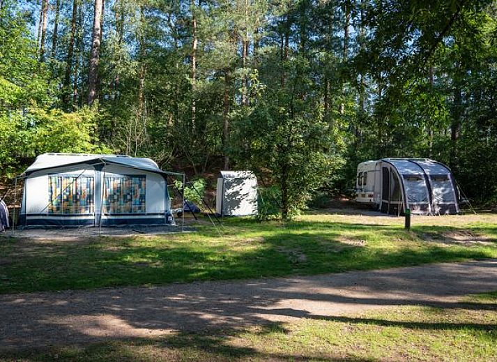 Coldenhove | Basis campingplaats | C5 in Eerbeek, Veluwe, Gelderland met camper en groen uitzicht.
