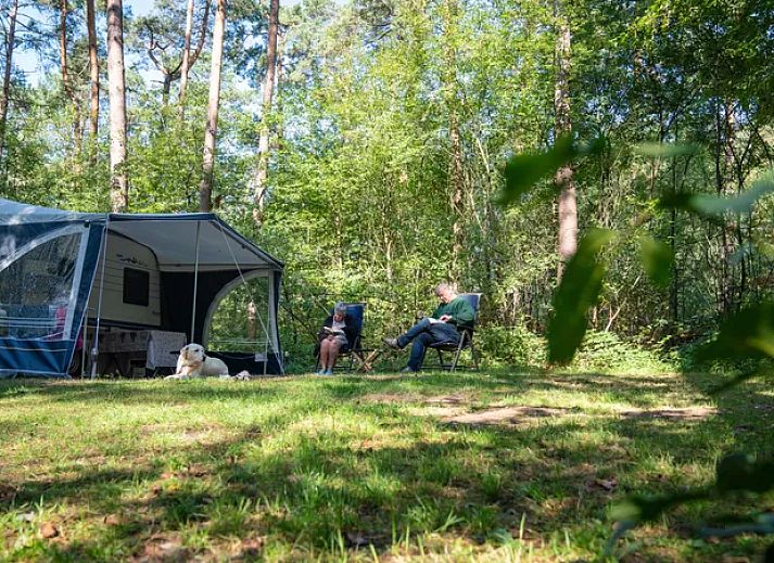 Campingplek Coldenhove | Basis campingplaats | C5 in Eerbeek, Veluwe, Gelderland met comfortabel terras.