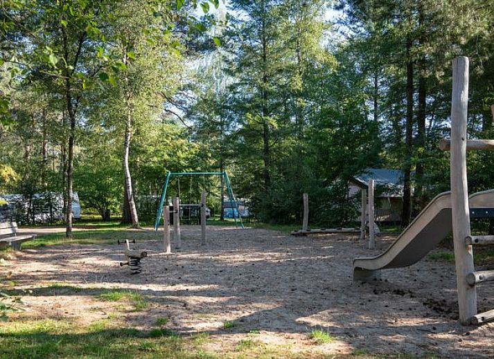 Campingplek Coldenhove | Basis campingplaats | C5 in Eerbeek, Veluwe, Gelderland met comfortabel terras.