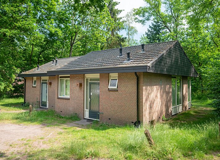 Unterkunft 326017 - Bungalow Veluwe - Coldenhove | 4-persoons bungalow | 4B