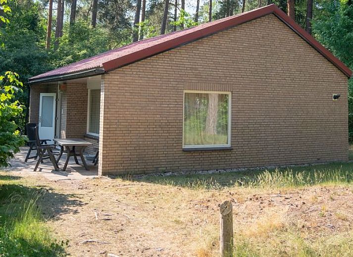 Guest house 326022 • Bungalow Veluwe • Coldenhove | 6-persoons bungalow | 6B 