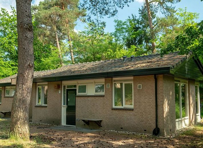 Verblijf 326023 • Bungalow Veluwe • Coldenhove | 4-persoons bungalow | 4C
