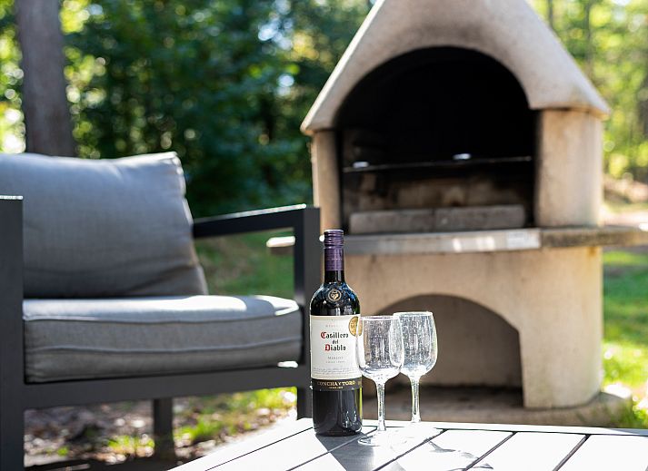 Stimmungsvoller Kamin in Coldenhove Bungalow 8C1, Eerbeek, Veluwe.