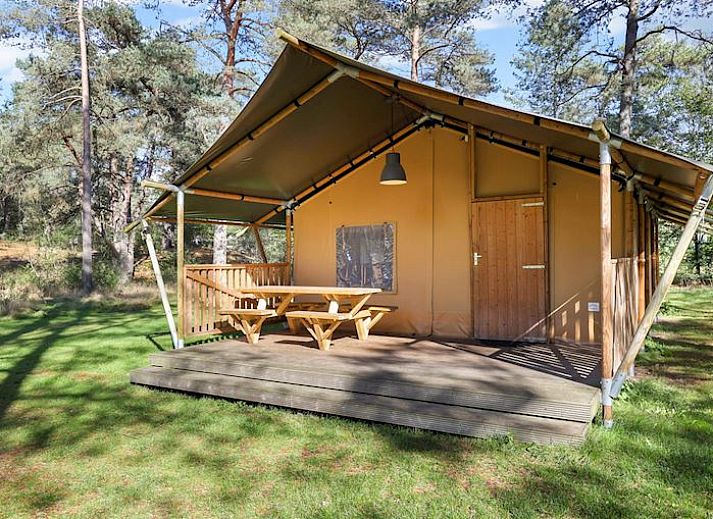 Verblijf 326028 • Vakantiewoning Veluwe • Coldenhove | 6-persoons safaritent | 6ST