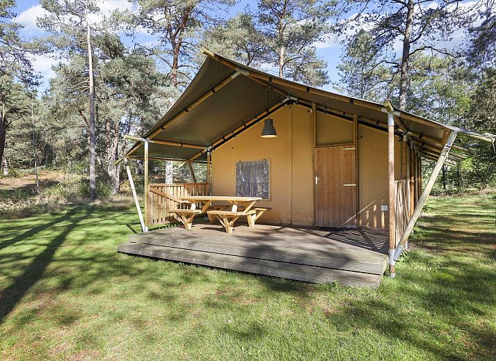 Safarizelt Coldenhove in Eerbeek mit Veranda und Picknicktisch aus Holz, Veluwe, Gelderland.