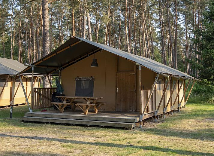 Safarizelt Coldenhove in Eerbeek mit Veranda und Picknicktisch aus Holz, Veluwe, Gelderland.