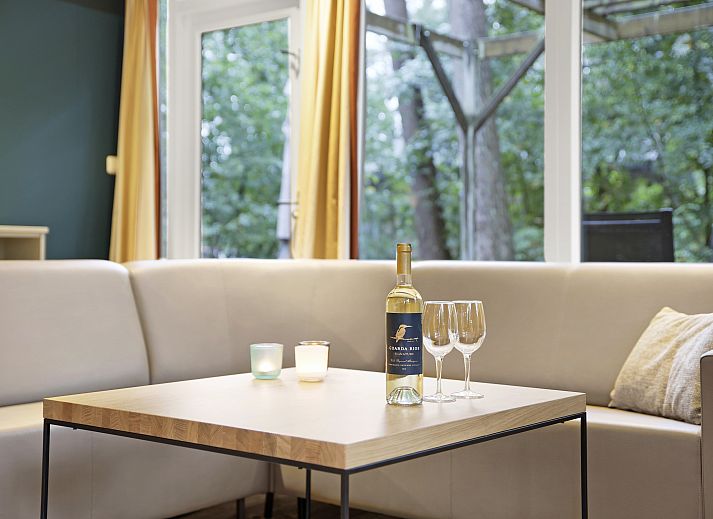 Sfeervolle woonkamer met open haard en grote ramen in Coldenhove bungalow, Eerbeek, Veluwe.