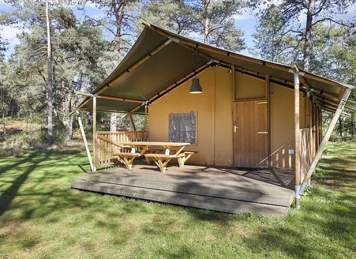 Verblijf 326043 • Bungalow Veluwe • Coldenhove | 4-persoonsbungalow | type 4A