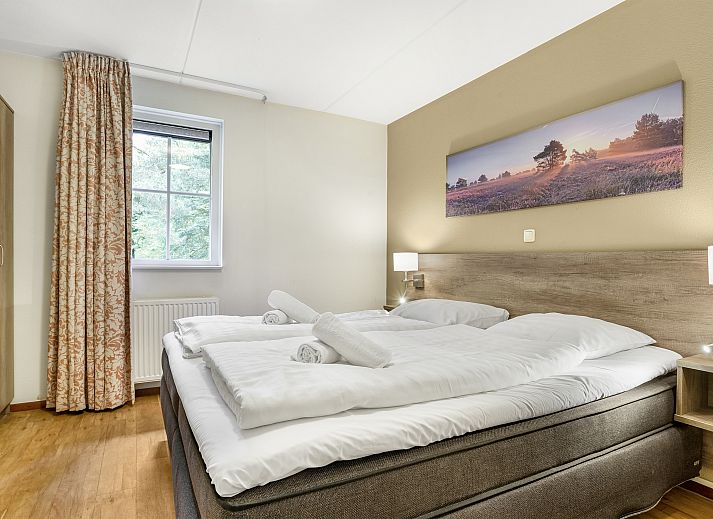 Unterkunft 326045 - Bungalow Veluwe - Coldenhove | 6-persoons bungalow | 6L