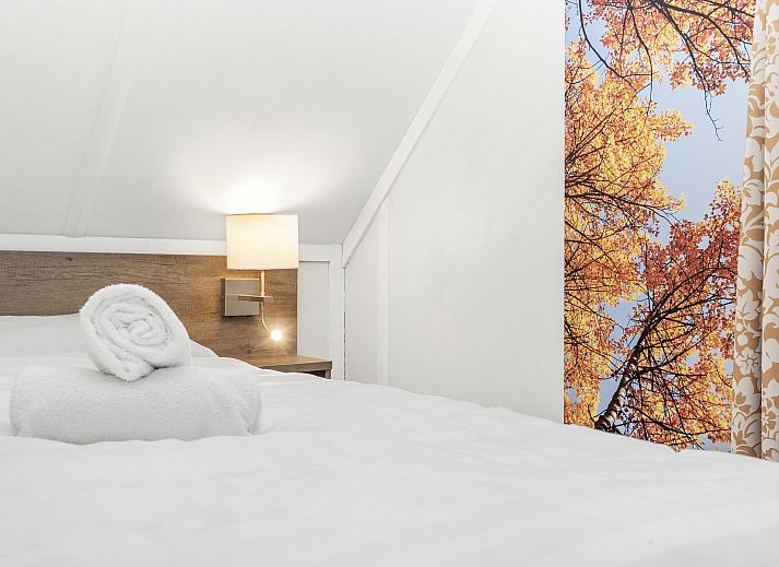 Unterkunft 326045 - Bungalow Veluwe - Coldenhove | 6-persoons bungalow | 6L