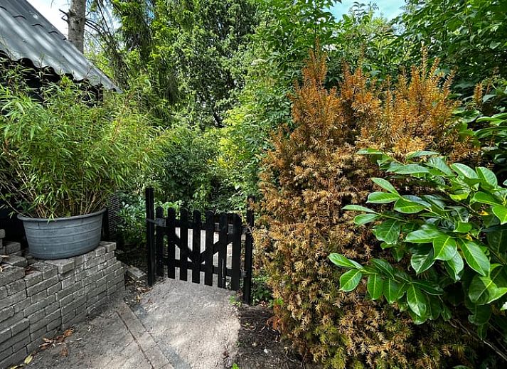 Unterkunft 326058 - Ferienhaus Veluwe - Vakantiehuisje in Eerbeek