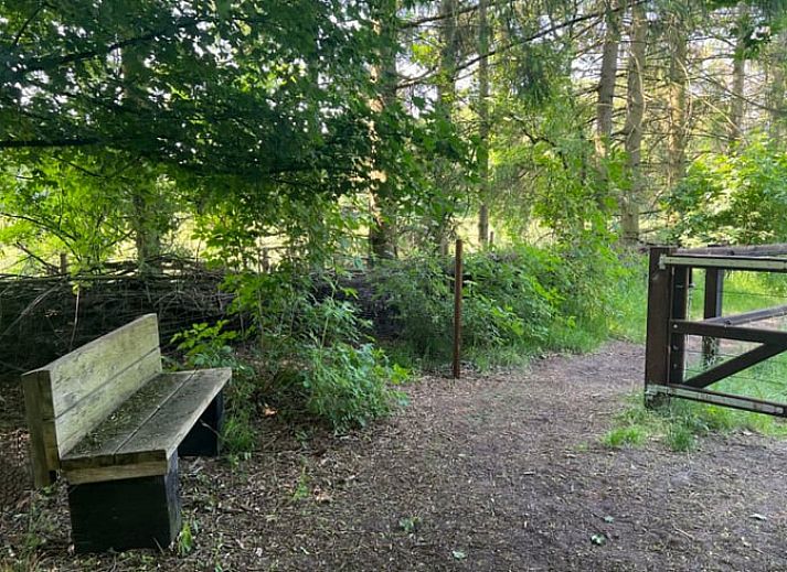 Unterkunft 326058 - Ferienhaus Veluwe - Vakantiehuisje in Eerbeek