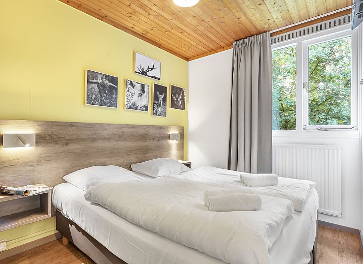 Verblijf 326061 - Bungalow Veluwe - Coldenhove | 4-persoons babybungalow | 4CN