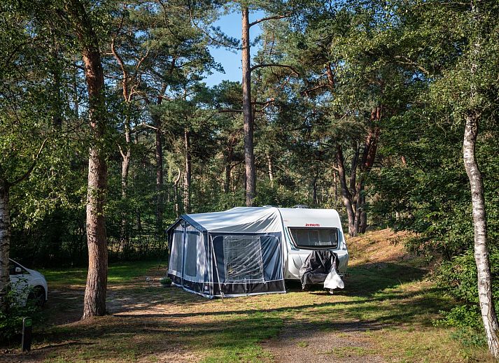 Unterkunft 326067 - Mobilheim Veluwe - Coldenhove | Basis campingplaats | C2