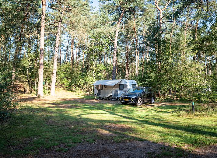 Unterkunft 326067 - Mobilheim Veluwe - Coldenhove | Basis campingplaats | C2