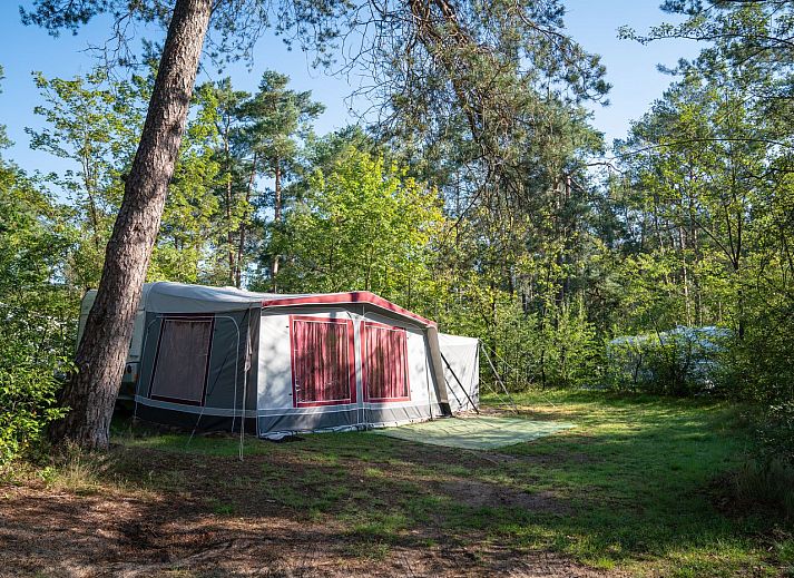Verblijf 326068 - Stacaravan Veluwe - Coldenhove | Comfort campingplaats | C3