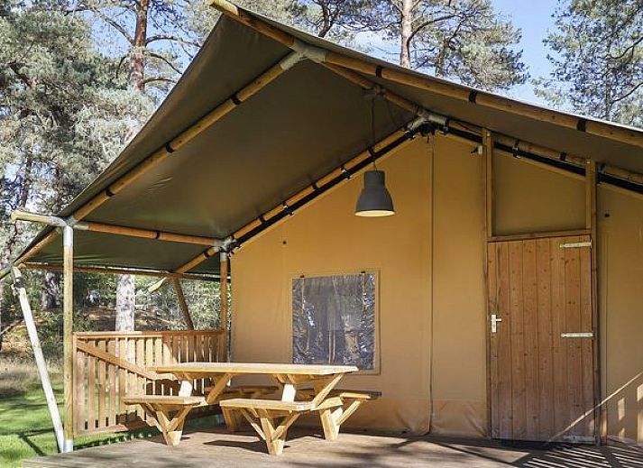 Verblijf 326085 - Vakantiewoning Veluwe - Coldenhove | 6-persoons safaritent | 6ST