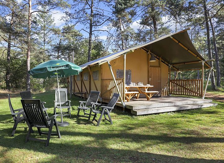 Verblijf 326085 - Vakantiewoning Veluwe - Coldenhove | 6-persoons safaritent | 6ST