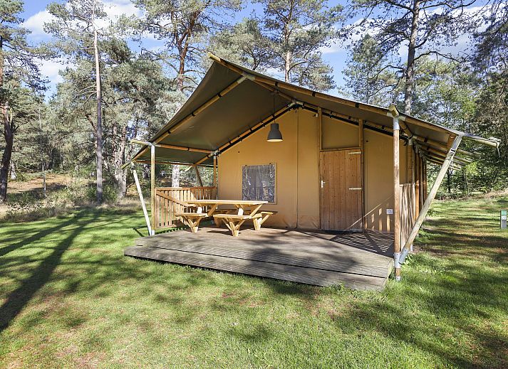 Verblijf 326085 - Vakantiewoning Veluwe - Coldenhove | 6-persoons safaritent | 6ST