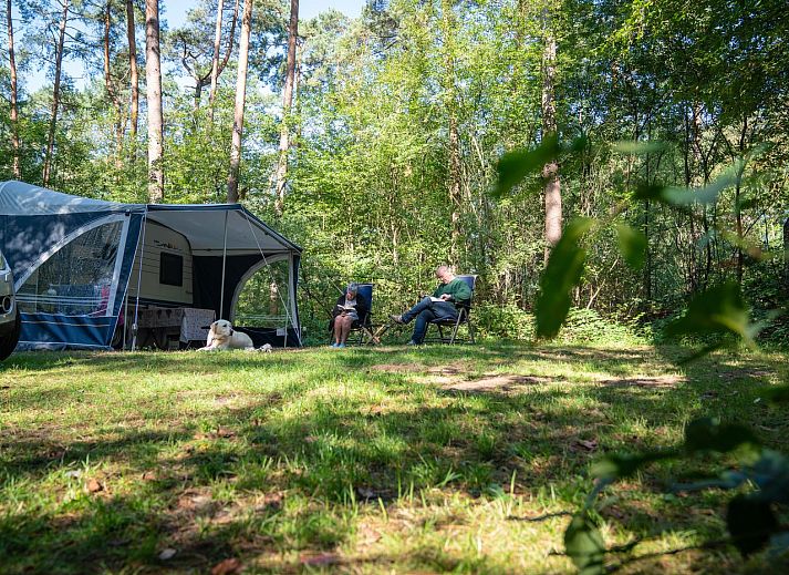 Verblijf 326087 - Stacaravan Veluwe - Coldenhove | Basis campingplaats | C5