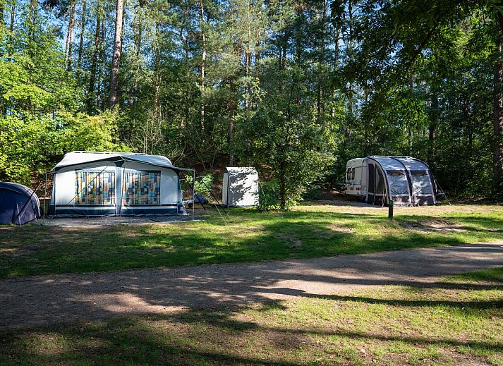 Verblijf 326087 - Stacaravan Veluwe - Coldenhove | Basis campingplaats | C5