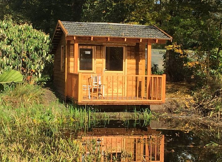 Guest house 326108 • Holiday property Veluwe • Vakantiehuis in Wenum Wiesel 