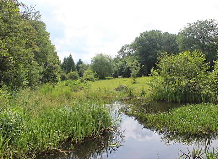 Gemuetliches Ferienhaus in Wenum Wiesel, Veluwe, Gelderland mit Holzveranda am Wasser, umgeben von Natur und Stille.