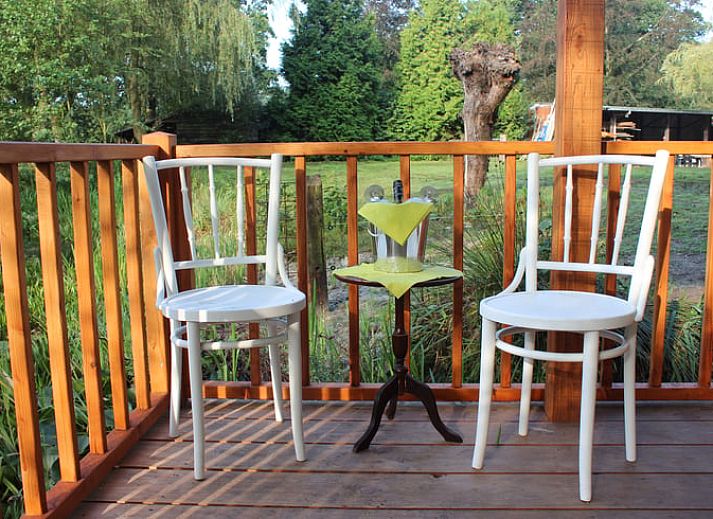 Gemuetliches Ferienhaus in Wenum Wiesel, Veluwe, Gelderland mit Blick auf einen ruhigen Teich und umgeben von ueppiger Natur.