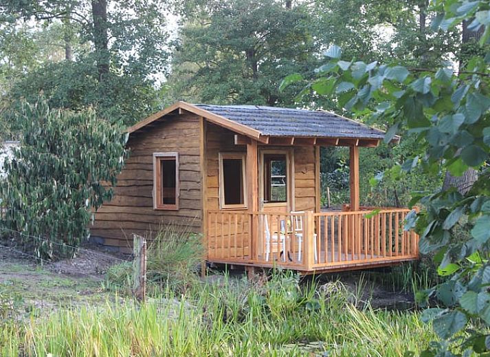 Das Ferienhaus in Wenum Wiesel, Veluwe, Gelderland bietet rustikalen Charme inmitten der Natur mit Blick auf den umliegenden Wald.