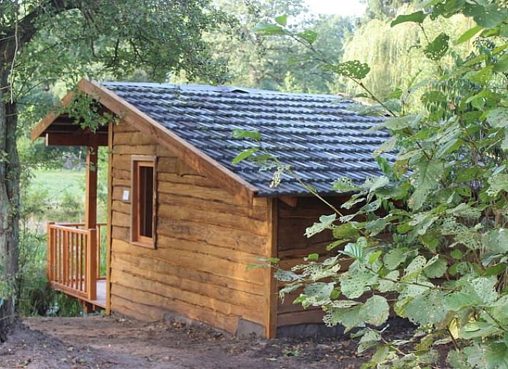Das Ferienhaus in Wenum Wiesel, Veluwe, Gelderland bietet rustikalen Charme inmitten der Natur mit Blick auf den umliegenden Wald.