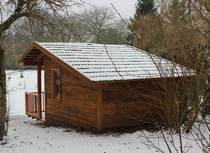 Das Ferienhaus in Wenum Wiesel, Veluwe, Gelderland bietet rustikalen Charme inmitten der Natur mit Blick auf den umliegenden Wald.