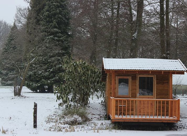 Naturreiche Aussicht im Ferienhaus in Wenum Wiesel, Veluwe, Gelderland mit ueppiger gruener Umgebung und ruhigem Teich.