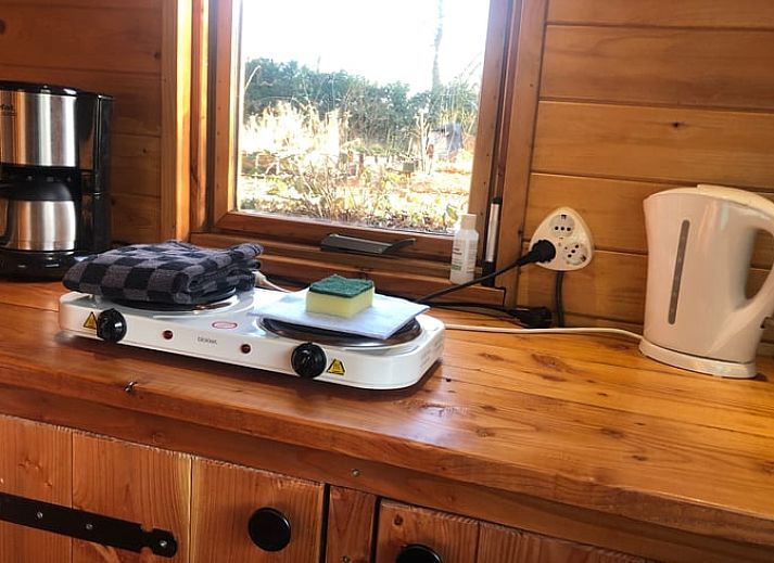 Naturreiche Aussicht im Ferienhaus in Wenum Wiesel, Veluwe, Gelderland mit ueppiger gruener Umgebung und ruhigem Teich.