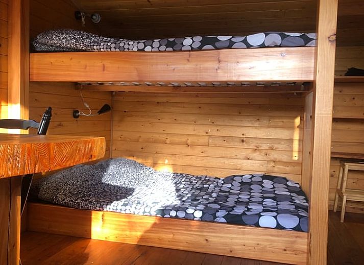 Naturreiche Aussicht im Ferienhaus in Wenum Wiesel, Veluwe, Gelderland mit ueppiger gruener Umgebung und ruhigem Teich.