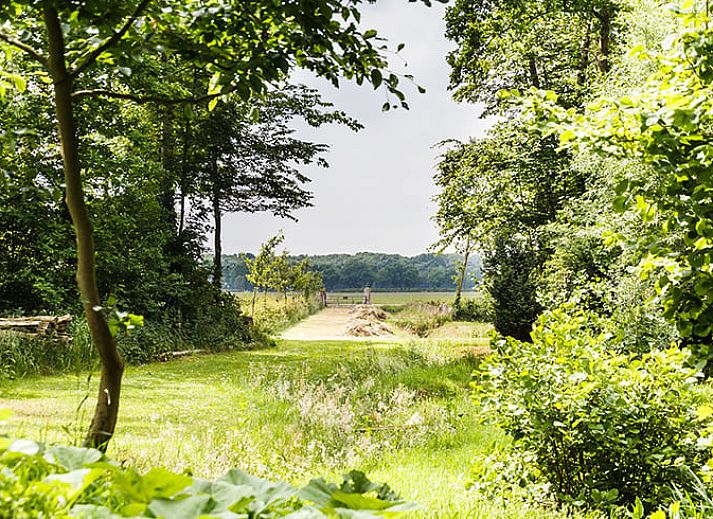 Comfortable seating area in Holiday Home in Wenum Wiesel, Veluwe, Gelderland, with decorative cushions.