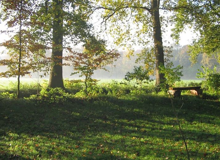 Cozy dining room in Holiday Home in Wenum Wiesel, Veluwe, with wooden table and chairs.