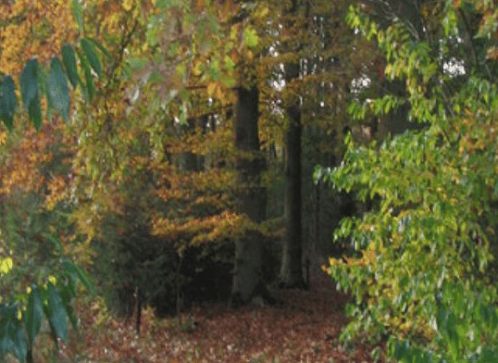 Cozy dining room in Holiday Home in Wenum Wiesel, Veluwe, with wooden table and chairs.
