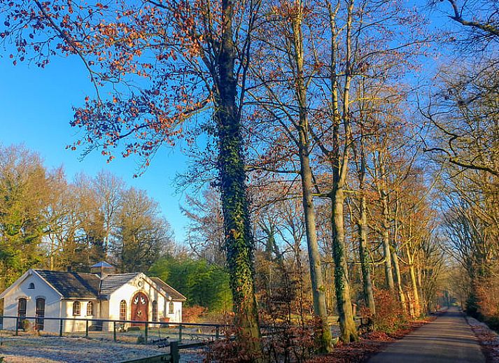 Spacious dining room with wooden interior in Holiday home in Wenum Wiesel, Veluwe, Gelderland.