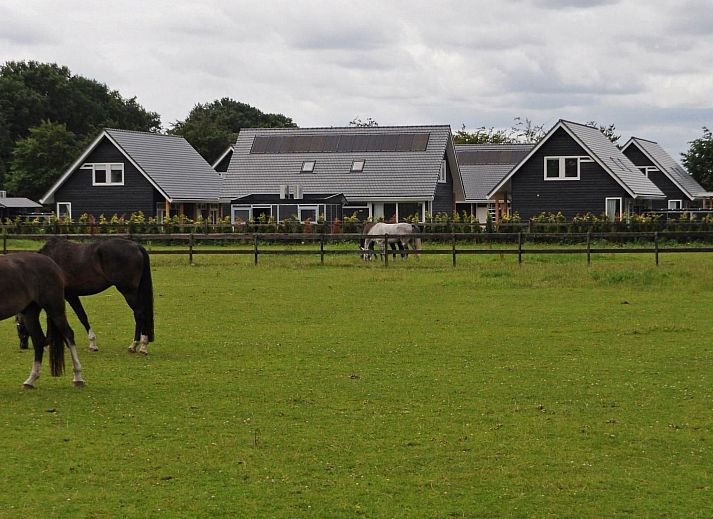 Unterkunft 326120 - Ferienhaus Veluwe - Vakantiehuis Anwesen "Oranjehorst"