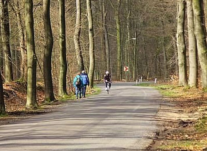 Unterkunft 326120 - Ferienhaus Veluwe - Vakantiehuis Anwesen "Oranjehorst"