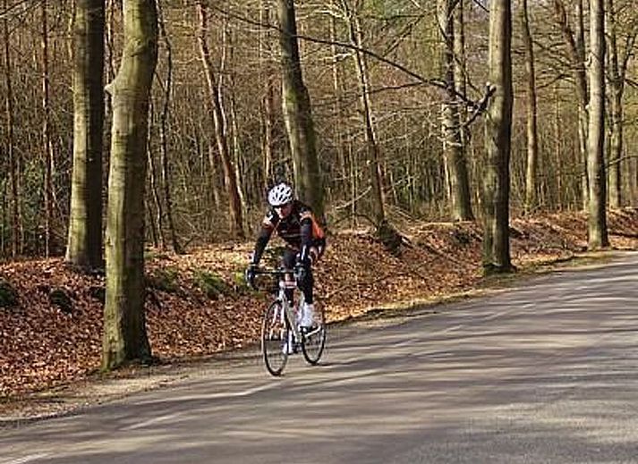 Unterkunft 326120 - Ferienhaus Veluwe - Vakantiehuis Anwesen "Oranjehorst"