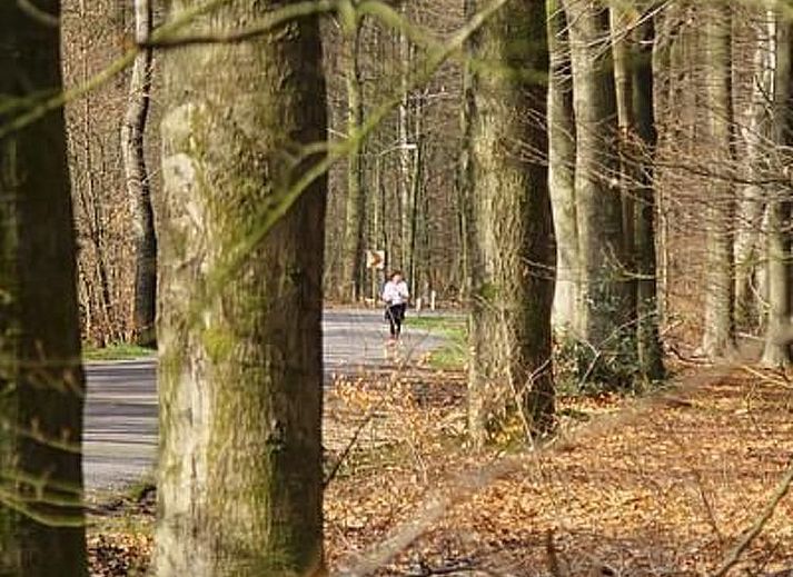 Unterkunft 326120 - Ferienhaus Veluwe - Vakantiehuis Anwesen "Oranjehorst"