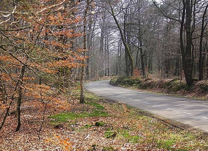 Unterkunft 326120 - Ferienhaus Veluwe - Vakantiehuis Anwesen "Oranjehorst"