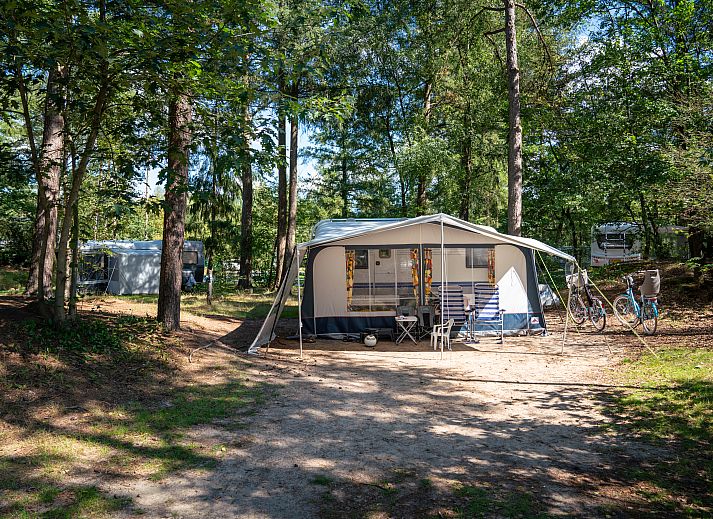 Guest house 3264115 - Fixed travel trailer Veluwe - Rabbit Hill | Comfort campingplaats | C16